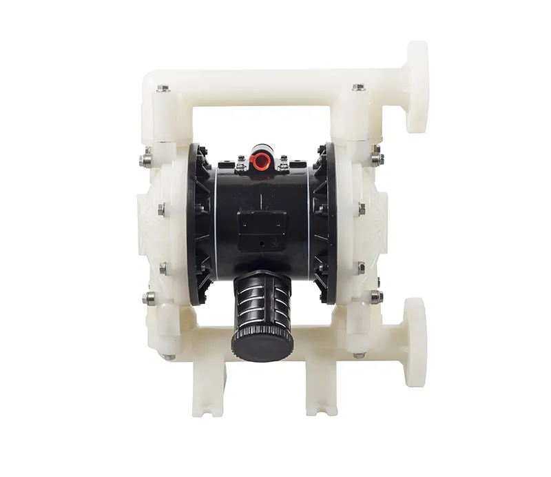 1 Inch PVDF Diaphragm Pump